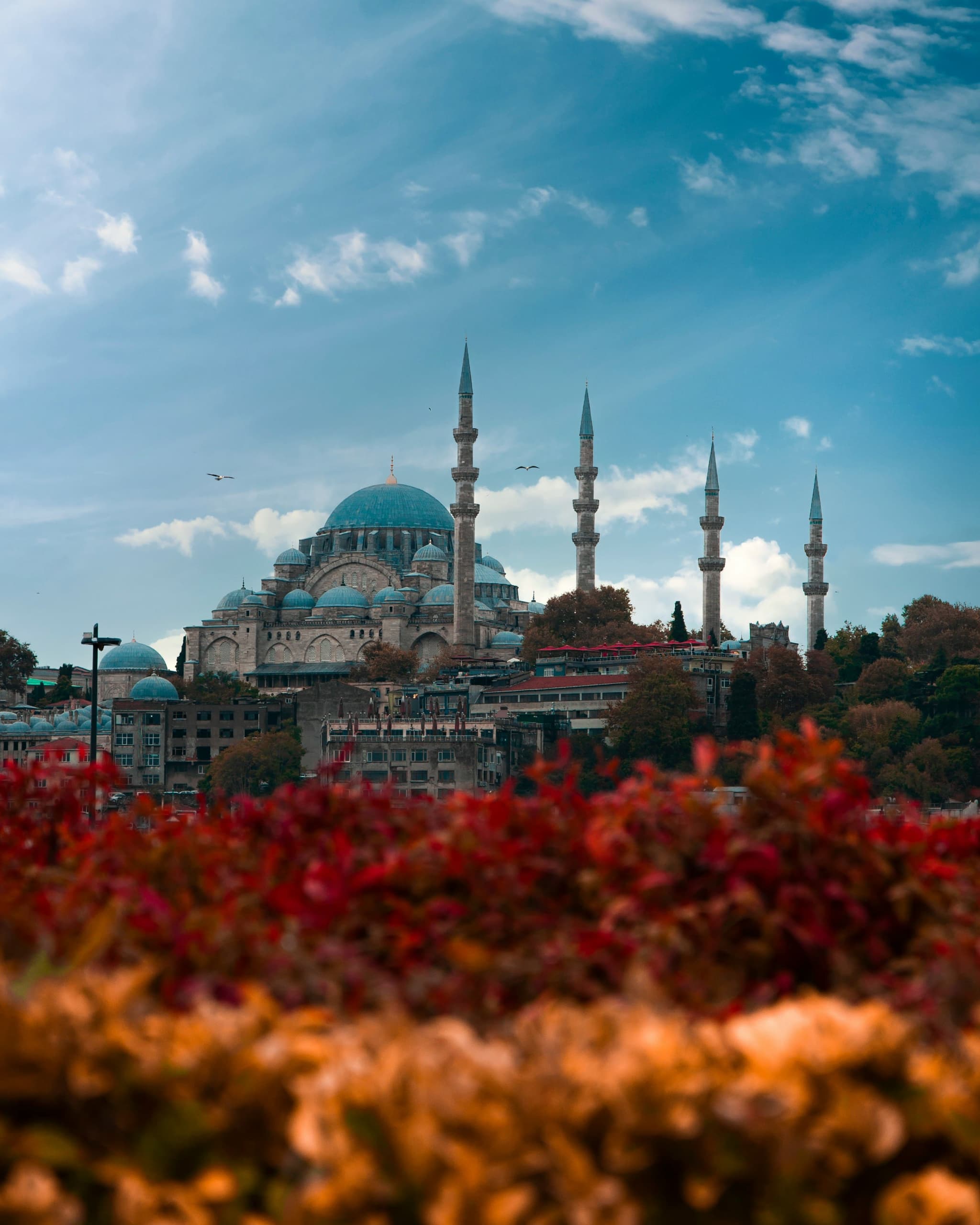 Istanbul in 5 dagen